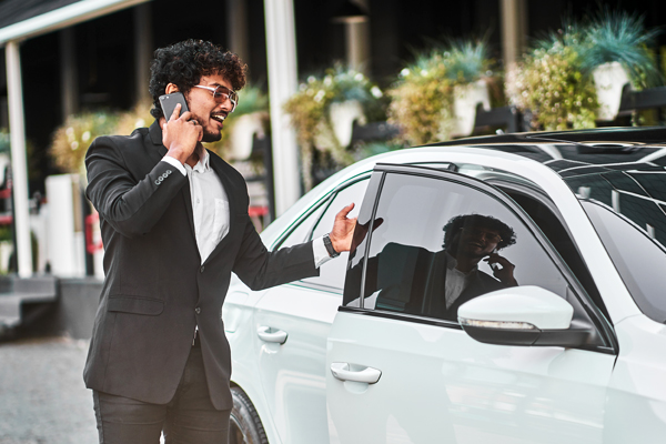 Executive Car Rental Fleet